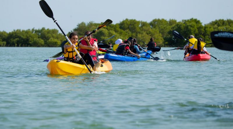 Kayaking at the Mangroves of Qatar