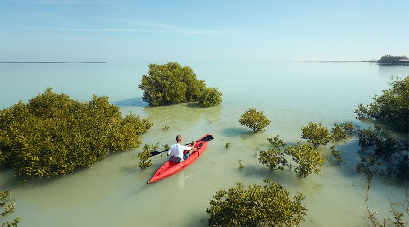 Kayaking at the Mangroves of Qatar