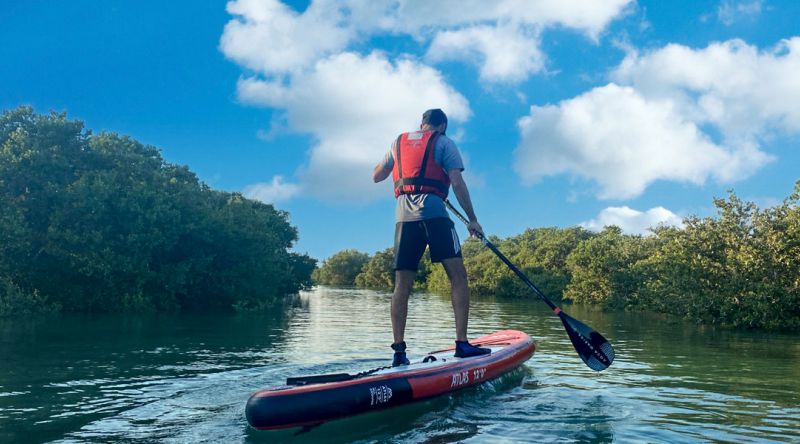 Stand-Up Paddle Boarding in Qatar