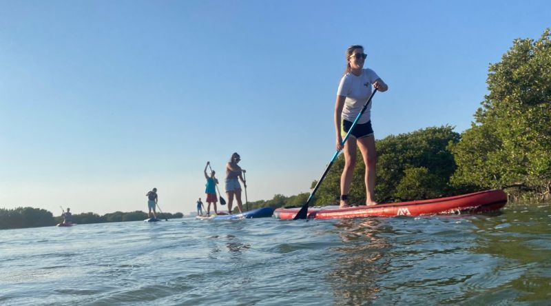 Stand-Up Paddle Boarding at the mangroves