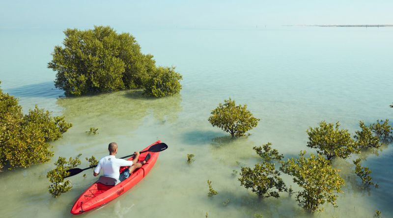 Kayaking at the Mangroves of Qatar