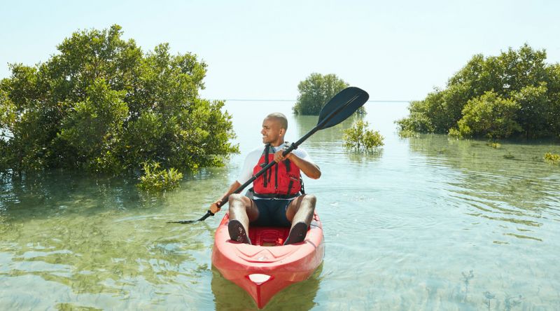 Kayaking at the Mangroves of Qatar