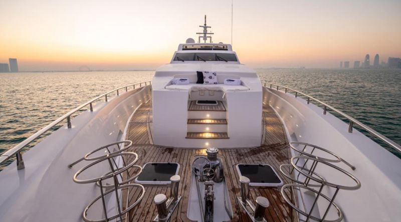 Optional add-on for Discover the Whale Sharks of Qatar by Private Charter
