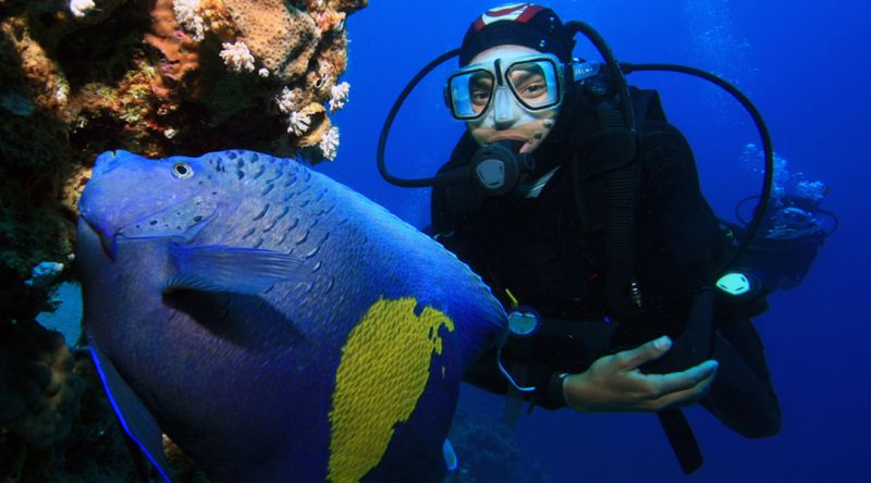 Discover Scuba Diving in Qatar