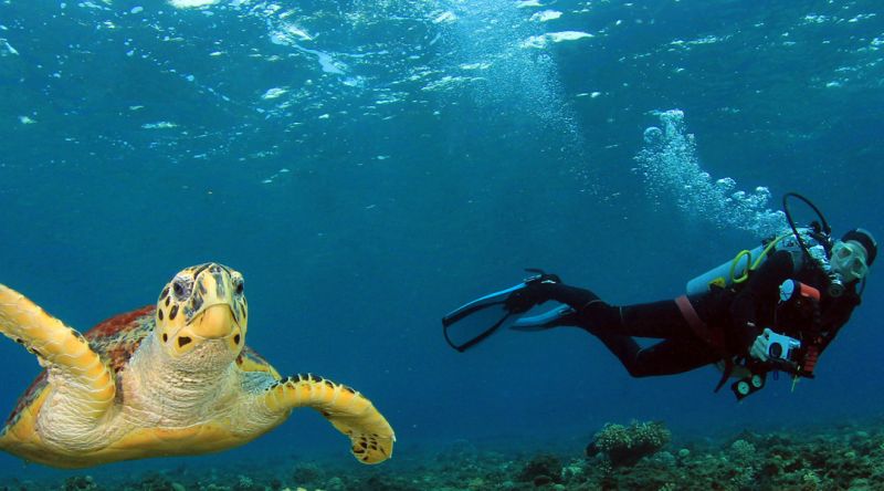 Discover Scuba Diving in Qatar